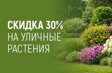 яркие краски осени