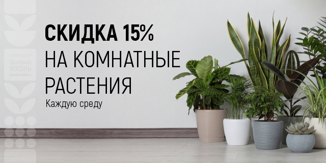 Скидка 15% на комнатные растиния
