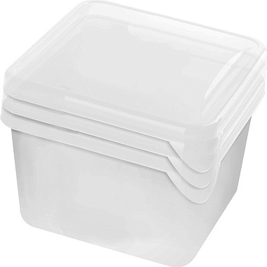 Набор контейнеров для заморозки Plast Team Frozen квадр. прозр.0,75 л LF1040/PT204012999