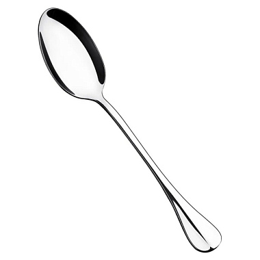 Ложка столовая Regent Inox Linea Callisto 2 предмета на подвесе 93-CU-CT-03.2