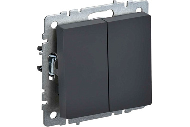 Выключатель IEK Brite ВС10-2-0-БрГ BR-V20-0-10-K53 двухклавишный графит 10А