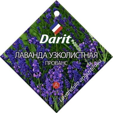Лаванда Darit узколистная Прованс семена 0,1 г 84373
