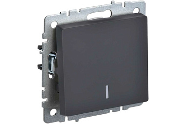 Выключатель IEK Brite ВС10-1-1-БрГ BR-V10-1-10-K53 одноклавишный с индикацией графит 10А
