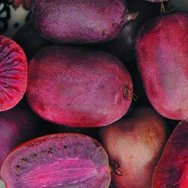 Актинидия аргута Пурпурна Садова женский 130278/752588