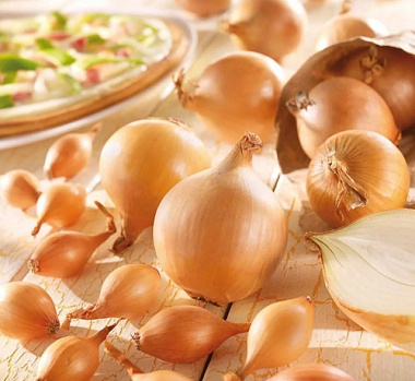 Лук-севок Стурон 10-21 мм 0,5 кг